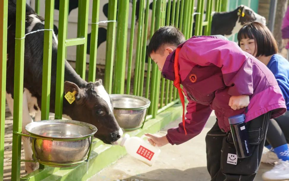 不負(fù)春光，快樂成長——洛陽東外小學(xué)部三年級研學(xué)旅行