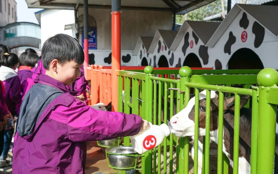 不負(fù)春光，快樂成長——洛陽東外小學(xué)部三年級研學(xué)旅行