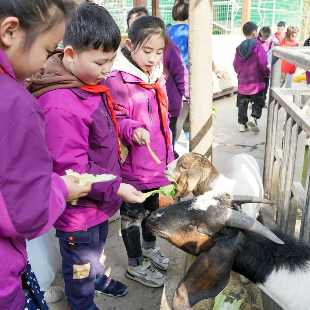 不負(fù)春光，快樂成長——洛陽東外小學(xué)部三年級研學(xué)旅行